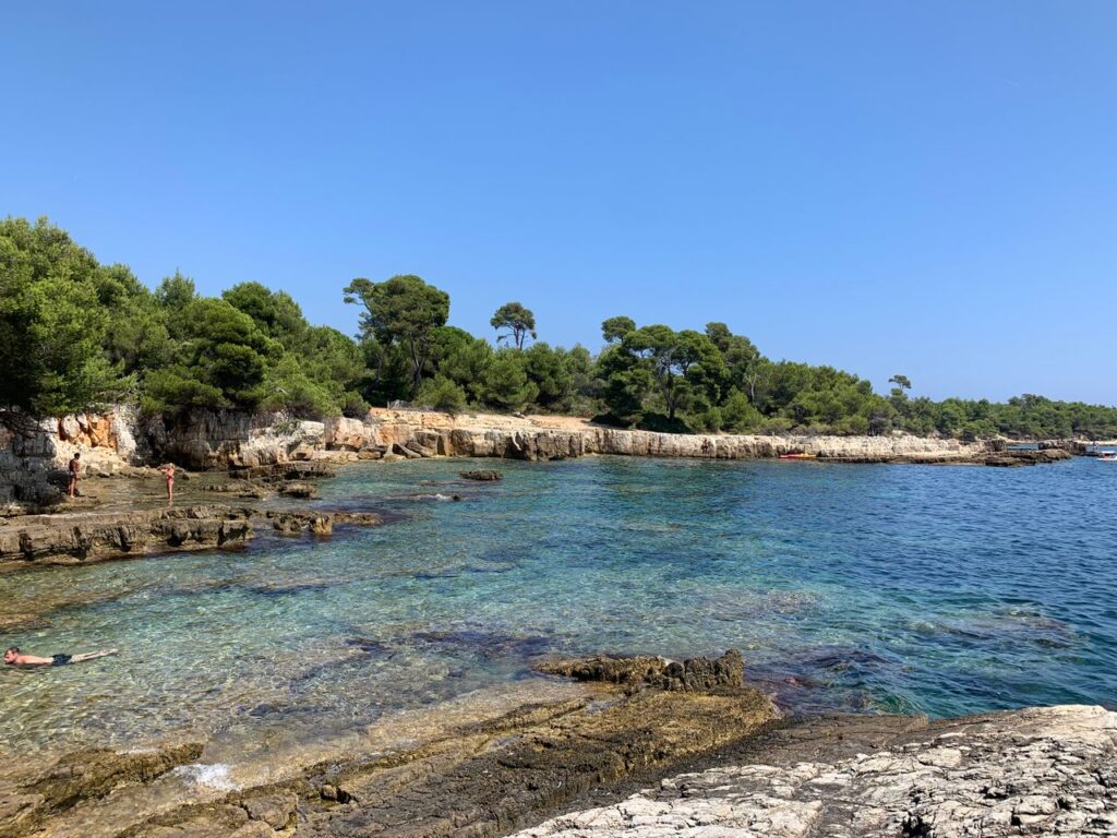 Beautiful rocky coastline with crystal clear water and green trees under a bright blue sky.